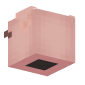 3D Render Back