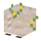 3D Render Back