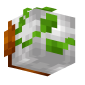 3D Render Back