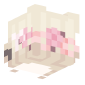 3D Render Back