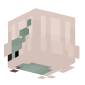 3D Render Back