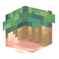3D Render Back