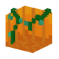 3D Render Back