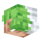 3D Render Back