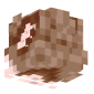 3D Render Back