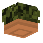 3D Render Back