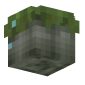 3D Render Back
