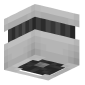 3D Render Back