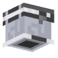 3D Render Back