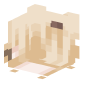 3D Render Back