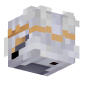 3D Render Back