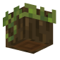 3D Render Back