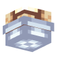3D Render Back