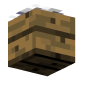 3D Render Back