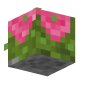 3D Render Back