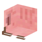 3D Render Back