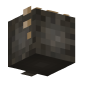 3D Render Back
