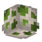 3D Render Back
