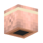 3D Render Back