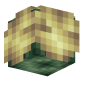 3D Render Back