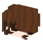 3D Render Back