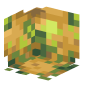 3D Render Back