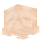 3D Render Back