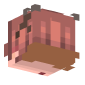 3D Render Back