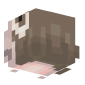 3D Render Back