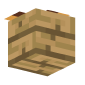 3D Render Back