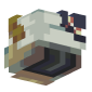 3D Render Back