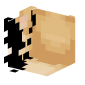 3D Render Back
