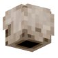 3D Render Back