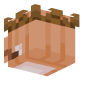 3D Render Back