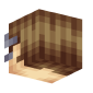 3D Render Back