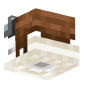 3D Render Back