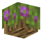 3D Render Back