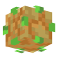 3D Render Back