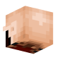 3D Render Back