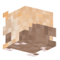 3D Render Back