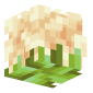 3D Render Back