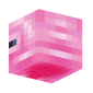 3D Render Back