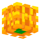 3D Render Back