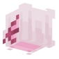 3D Render Back