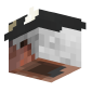3D Render Back