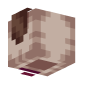 3D Render Back