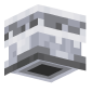3D Render Back