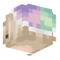 3D Render Back