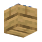 3D Render Back