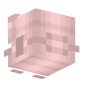 3D Render Back